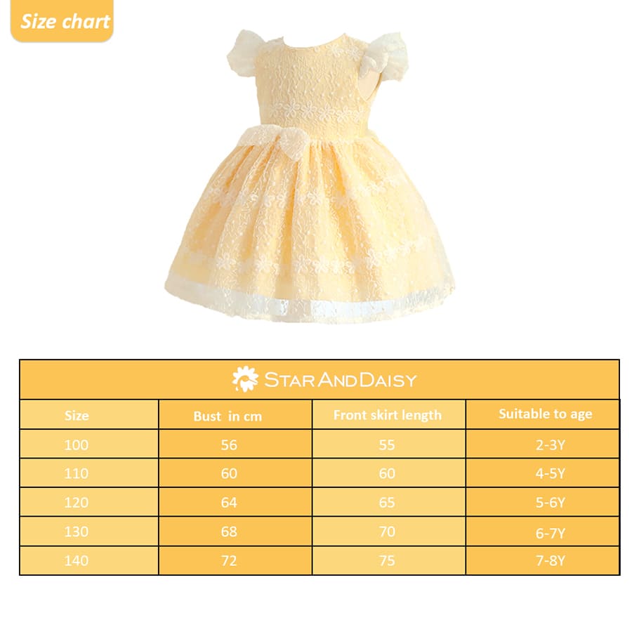 Girls Party Wear Dress