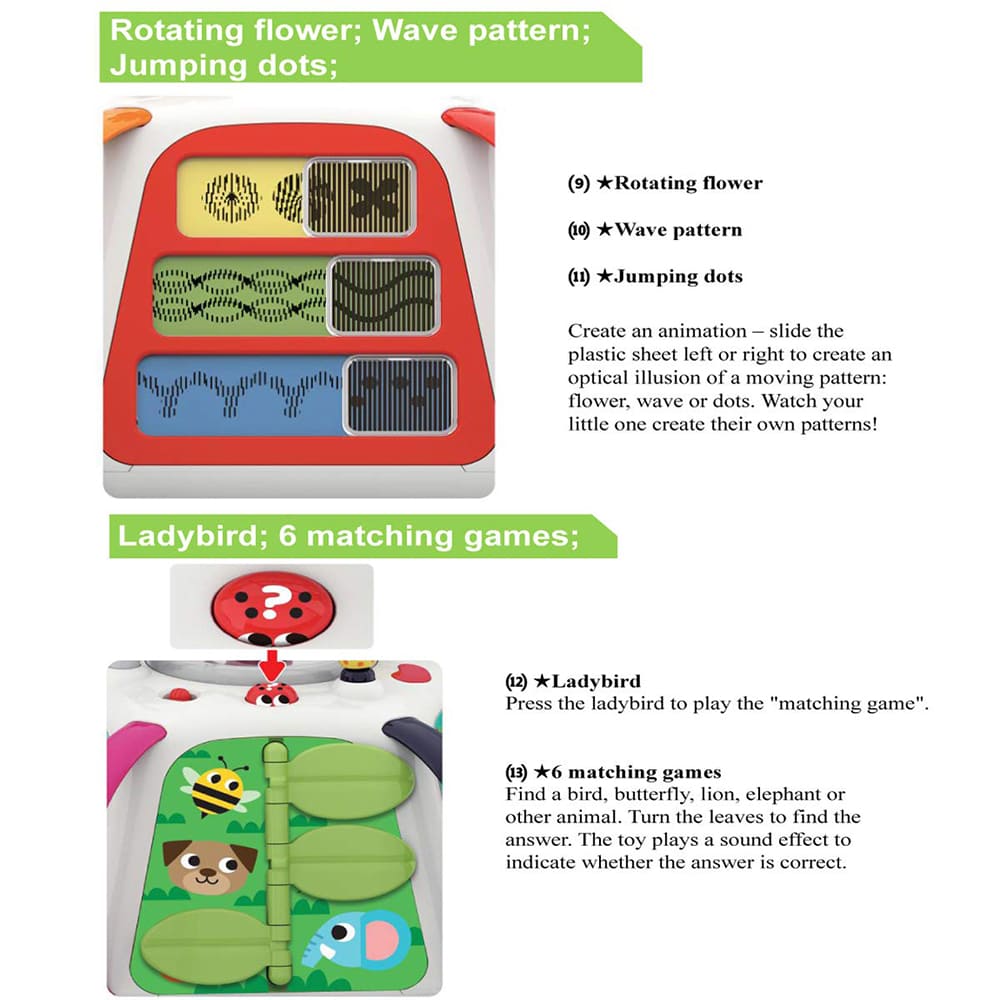 Hola Forest Activity Pyramid 