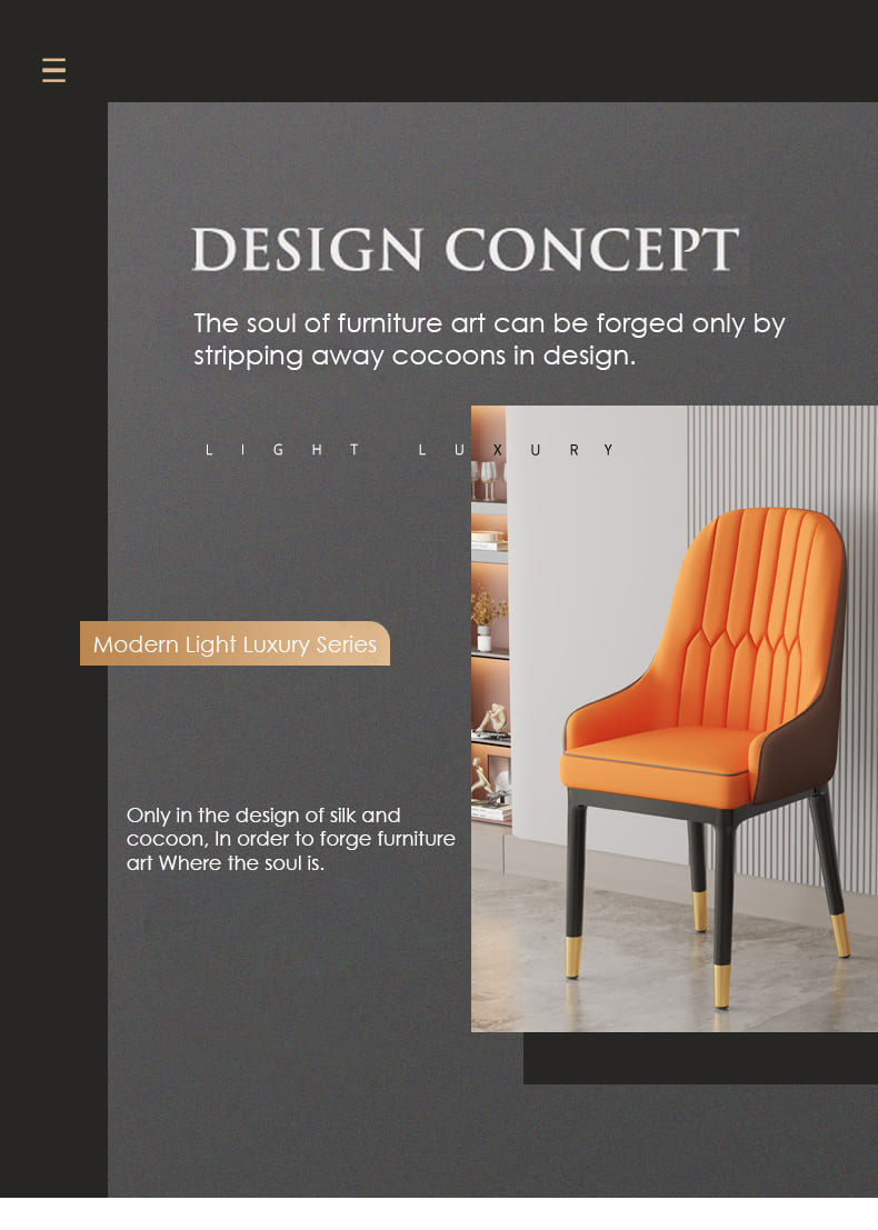 Morden Chair