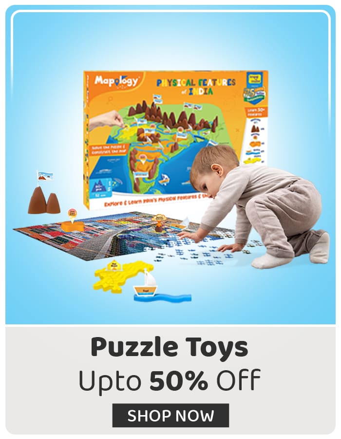 Puzzle Toys for Kids