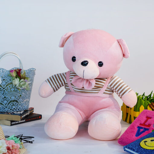 StarAndDaisy Cuddle Toys Series - Bear Plush - Super Soft High Quality (Size - 60cm | Color - Pink)