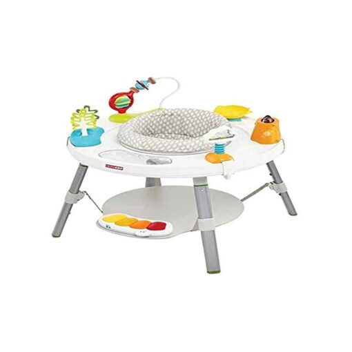 Skip Hop Activity Walker