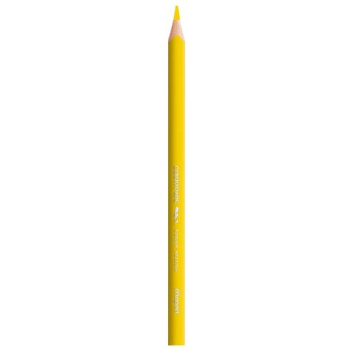 Maped Plastic Colour Pencils Colorpeps Strong X12 Cardboard Box - Image 2