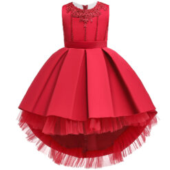 Party Wear & Dresses