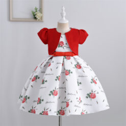 Stylish Frock