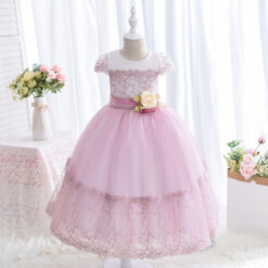Frock Dress