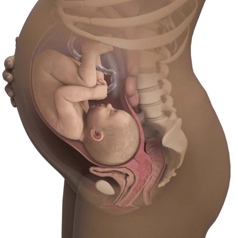 Being pregnant signs throughout week 39
