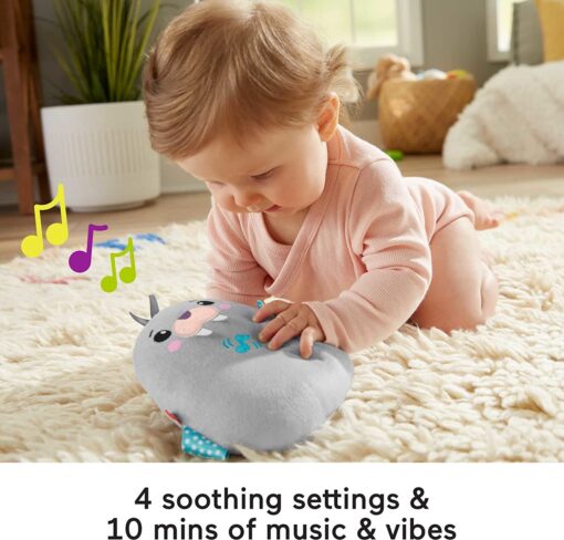 Fisherprice Chill Vibes Walrus Soother - Image 3
