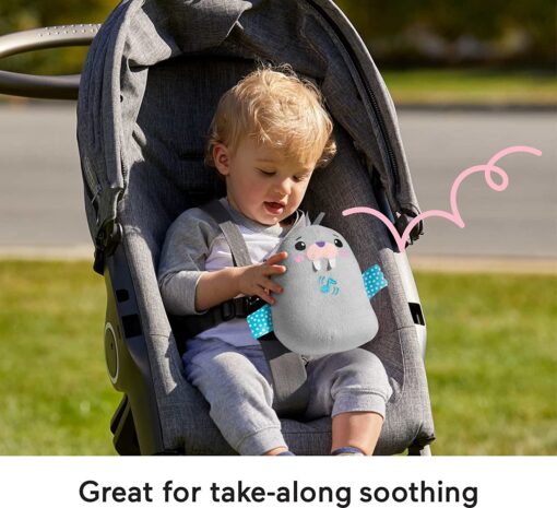 Fisherprice Chill Vibes Walrus Soother - Image 4