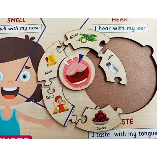 Five Senses Learning Puzzle – 12*18 inch - Image 3