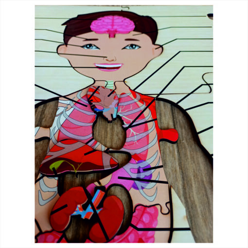 Wooden Big Floor Size Multi Combined Parts Of Body Puzzle for Kids - Image 2