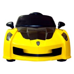 battery powered remote control car