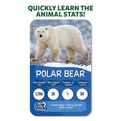 Quickly Learn Animal Stats