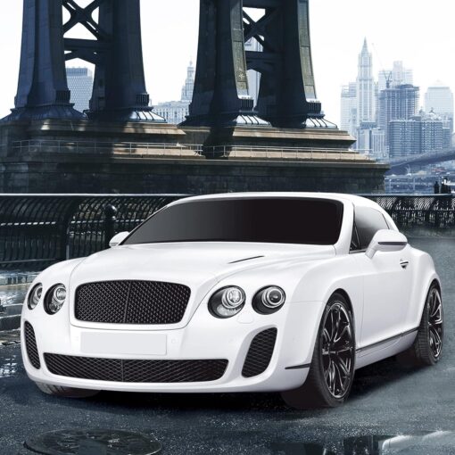 Playzu Xtreme Racing Grand Tourer - Image 5