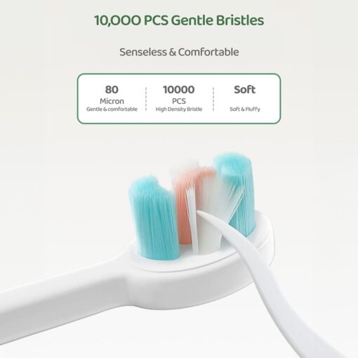 Cute Dino Toothbrush for Kids - Soft Bristle Tooth Brush with Silicone Grip Aged 2 Years and Above - StarAndDaisy - Image 6