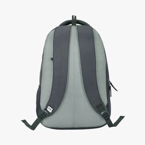 kids school back