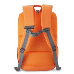 Kids School Bags