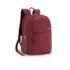 American Tourister Multi-Purpose School Bags Rider Bags with 2 Full Compartments 1 Front Pocket, 20 Ltr Backpacks - Bella 3.0 Maroon