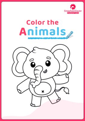 Color the Animals