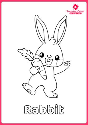 Rabbit-1