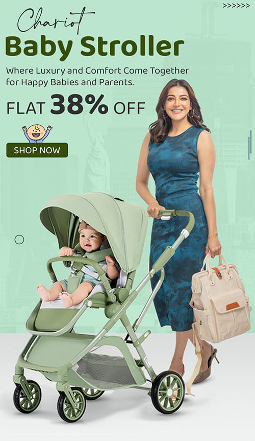 Chariot Baby Stroller