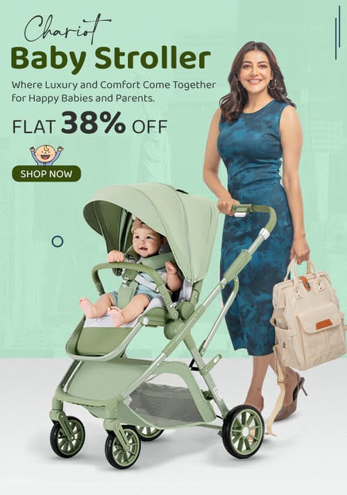 Chariot Baby Stroller Chariot Baby Stroller